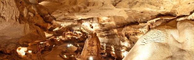 4 Passes to Inner Space Cavern, Georgetown, Texas